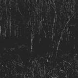 Hallowed Butchery : Pure Electro Scum